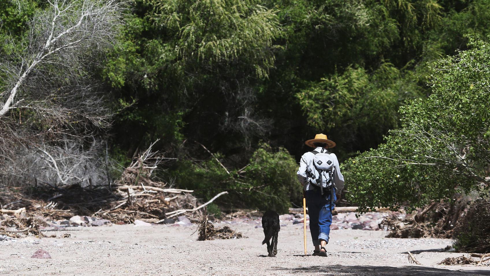 5 takeaways from the water-rights ruling over a planned Sierra Vista development